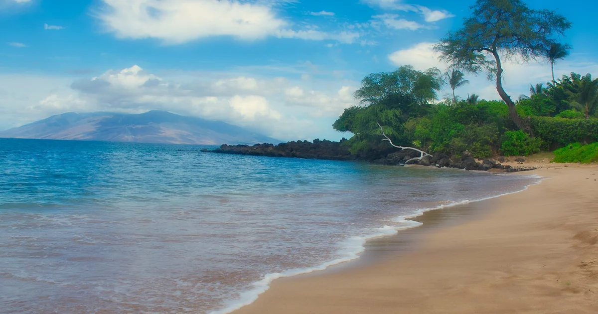 Maluaka Beach, Maui is located along a stretch of Wailea-Makena coastline in front of the Makena Beach and Golf Resort, one of several spots known as "Turtle Town." That makes this one of the best Maui beaches for snorkeling with sea turtle